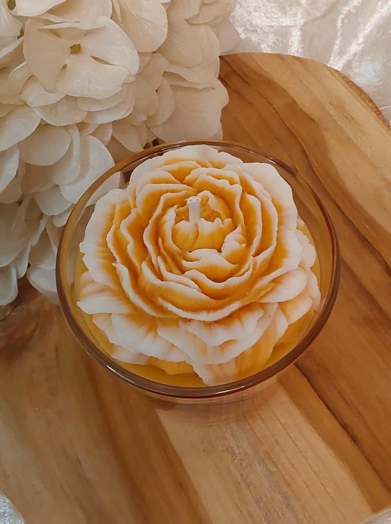 Orange Rose