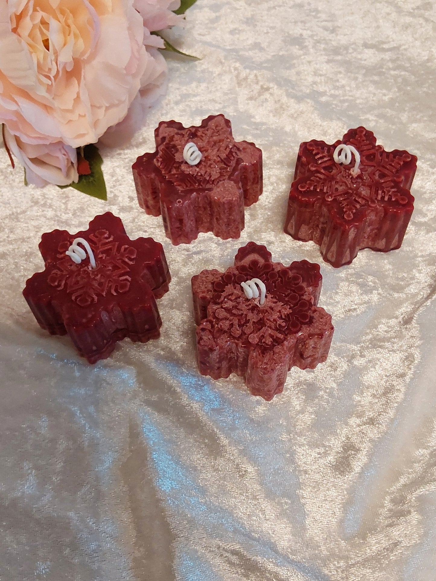 Weihnachtsstern