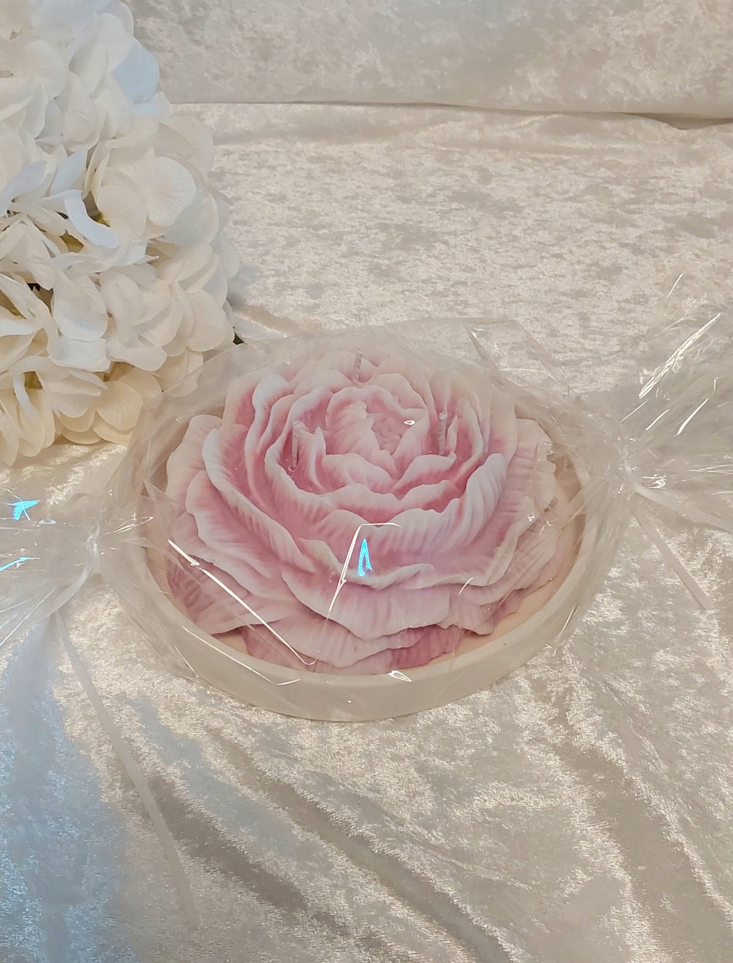 Duftkerze Rose, English Rose auf Teller 440g