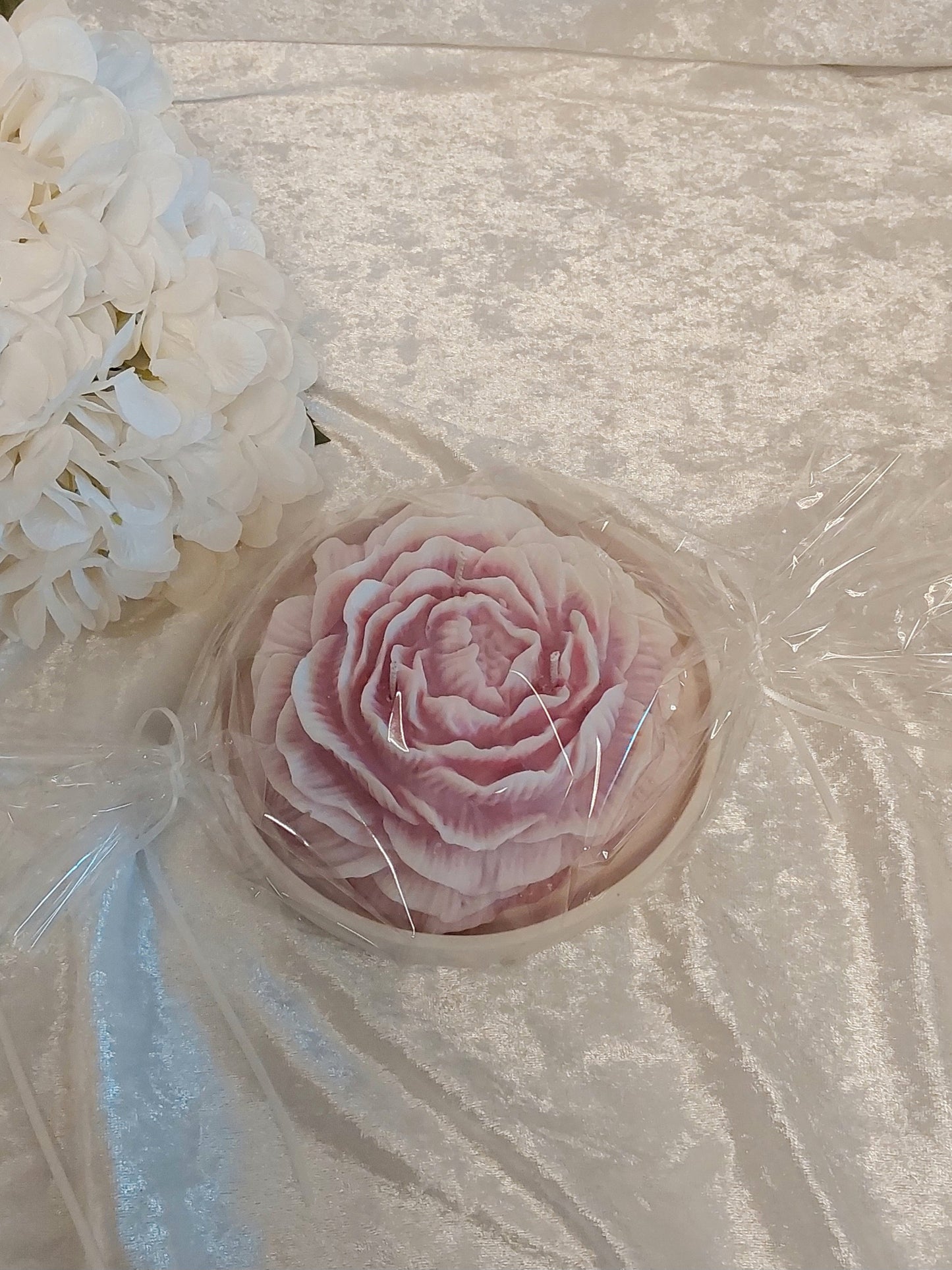 Duftkerze Rose, English Rose auf Teller 440g