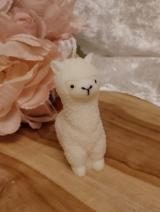 Alpaka