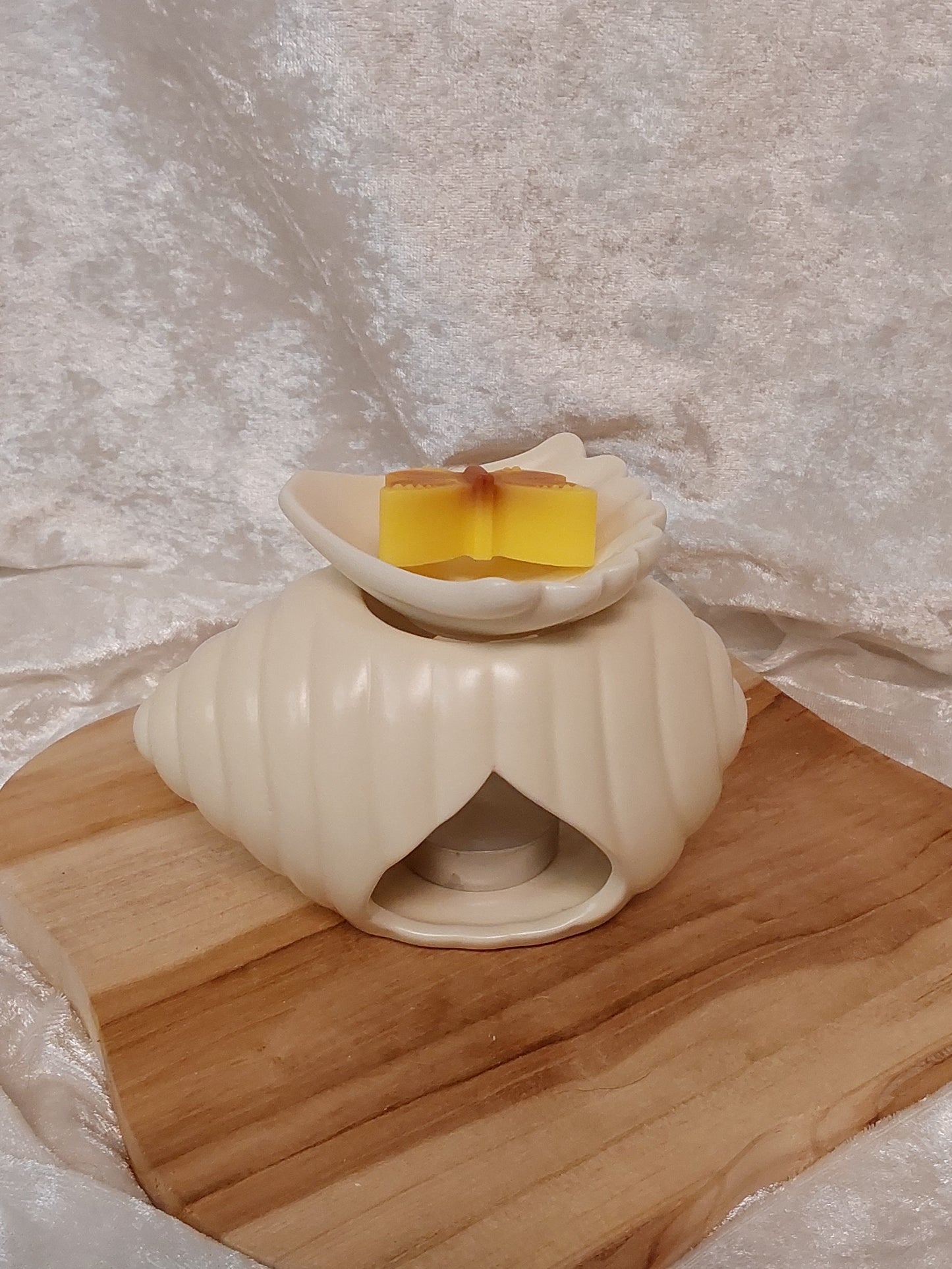 Muschel-Duftlampe